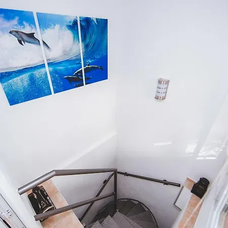 Apartmán Felix